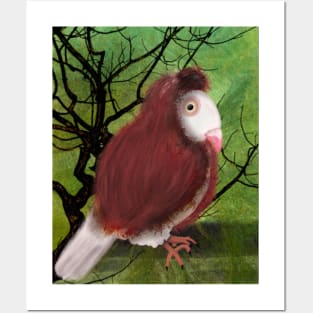 Capuchin Pigeon Posters and Art